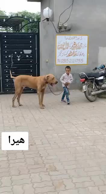 @𝐆𝐔𝐉𝐉𝐀𝐑 𝐊𝐈𝐒𝐒𝐀𝐍𝐀55