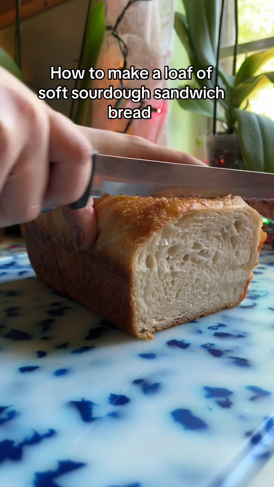 @Wheat Culture Sourdough | Jess