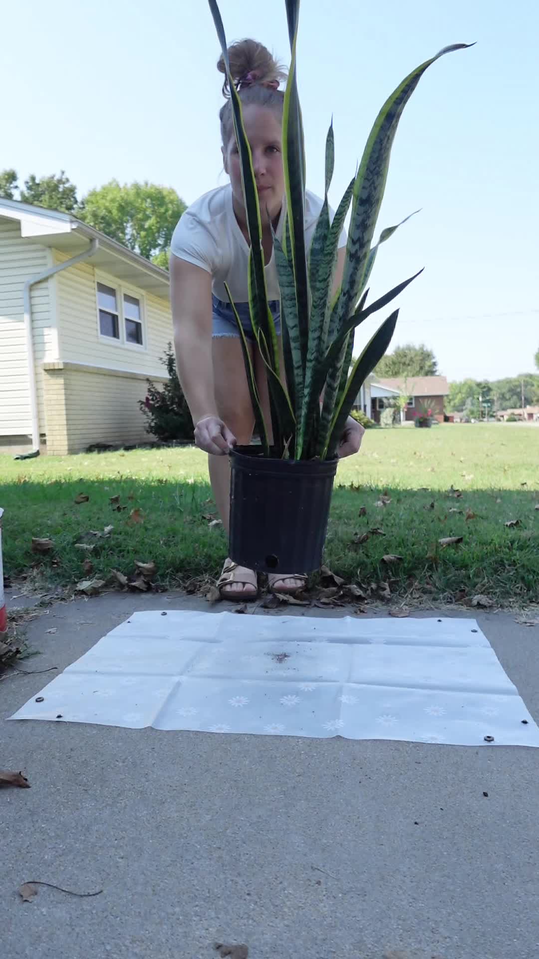 @midwestplantgal