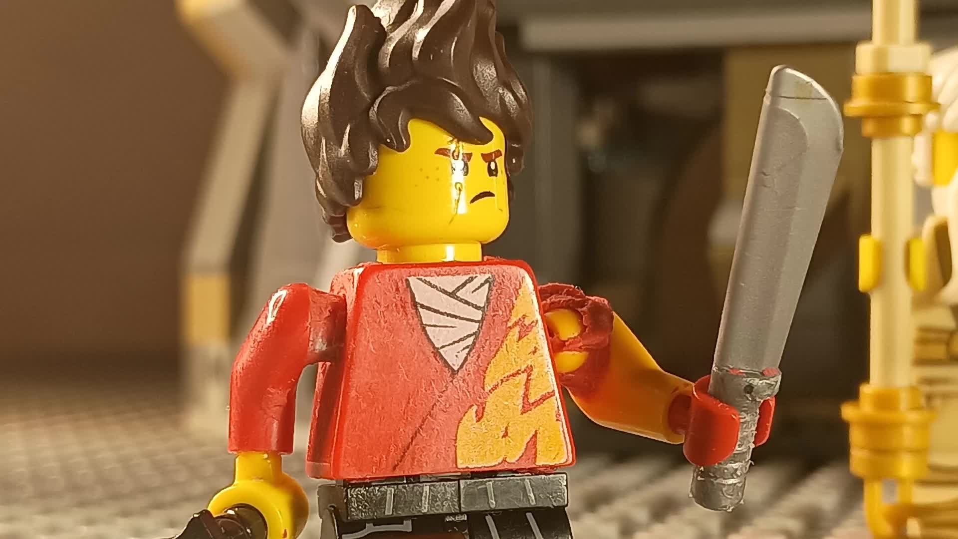 @guardianstopmotion