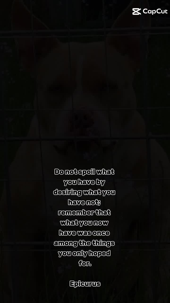 @Flextimebullyz