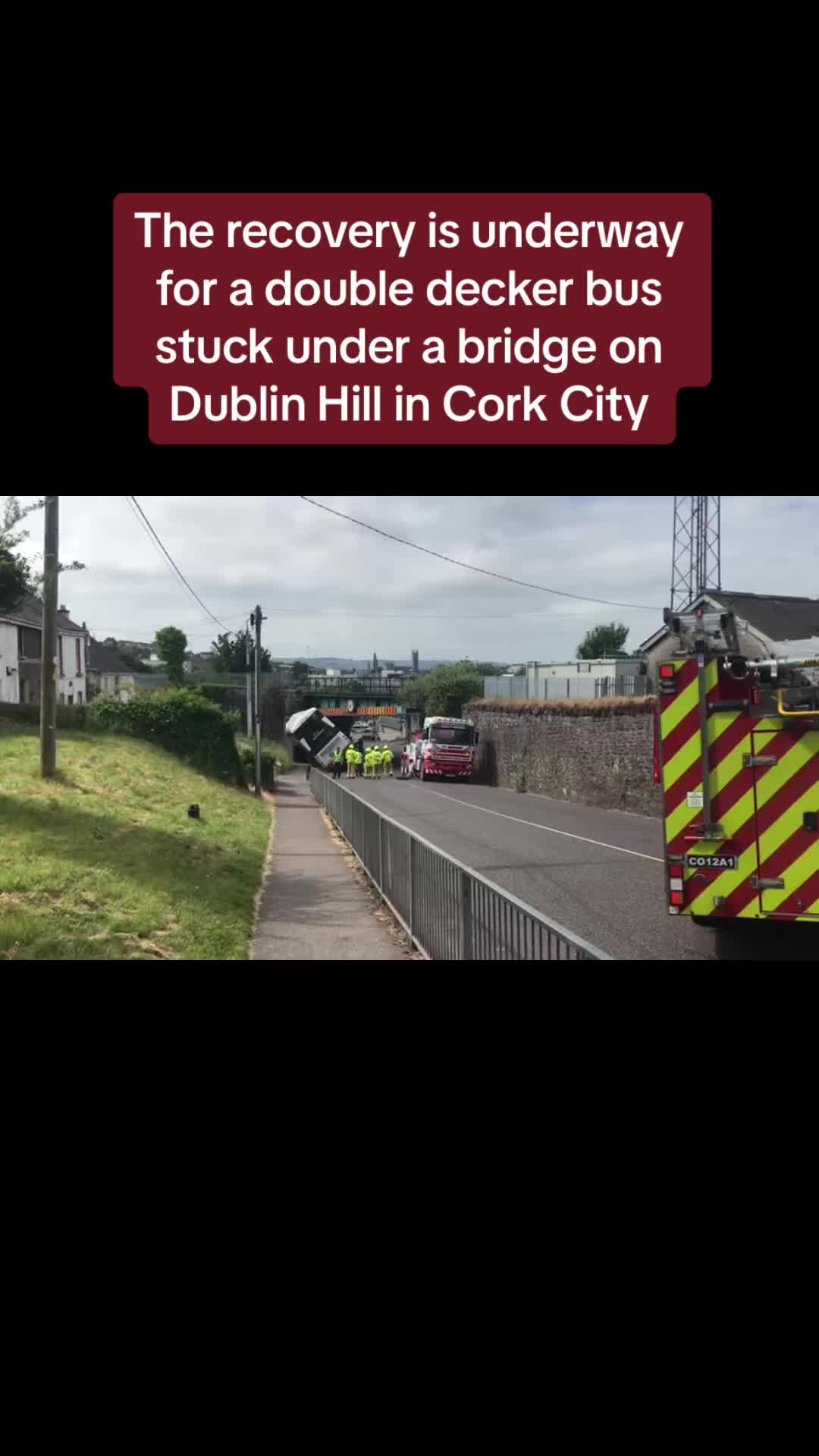 @Cork Beo