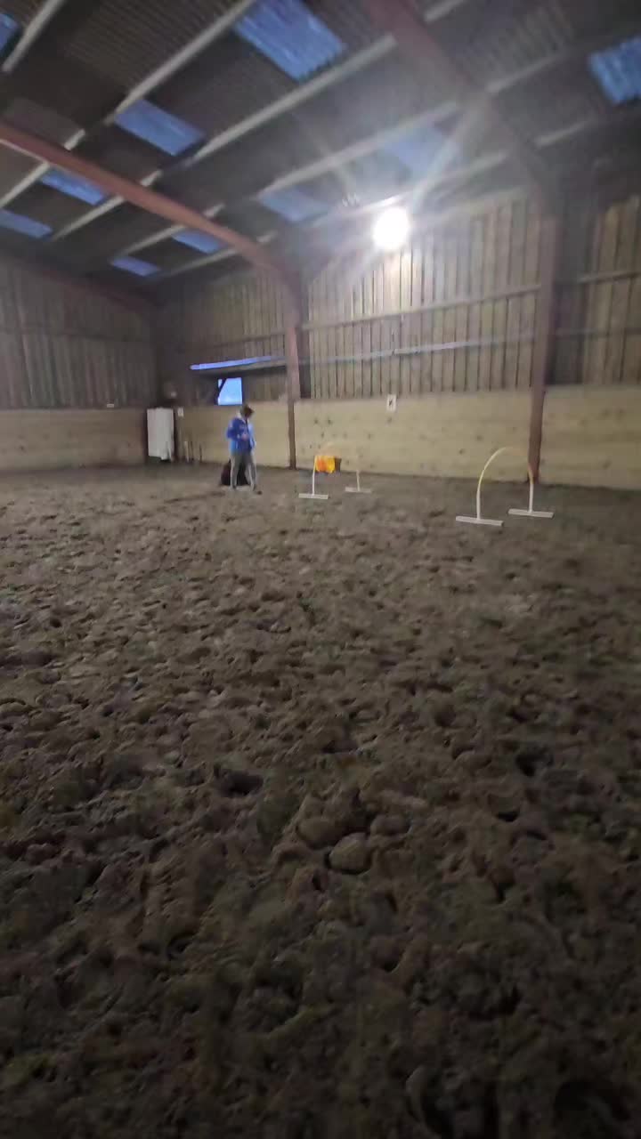 @Paw By Paw Dog Training