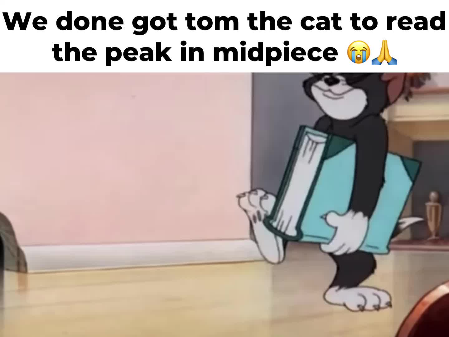 @kakskssksk