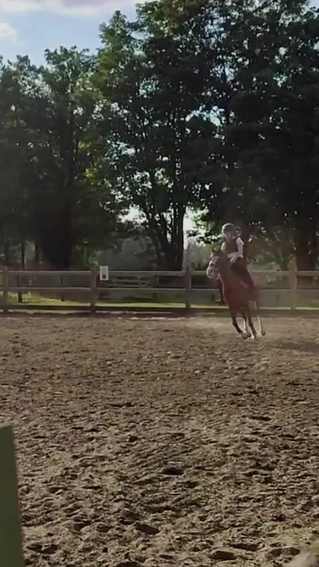 @Jumping Ponies 🔛🔝
