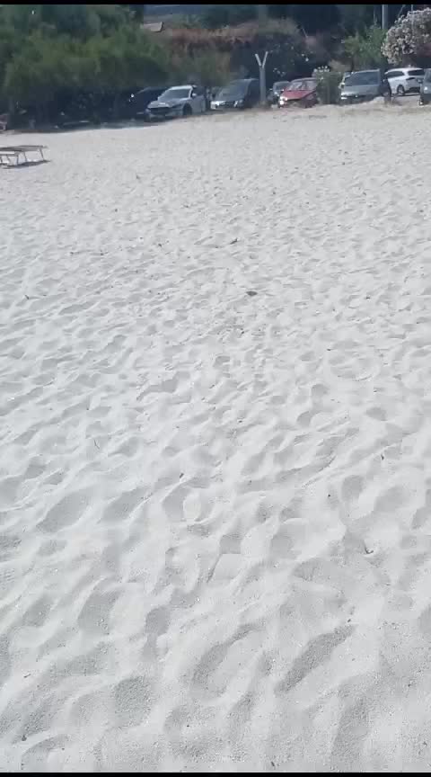 @FranKM