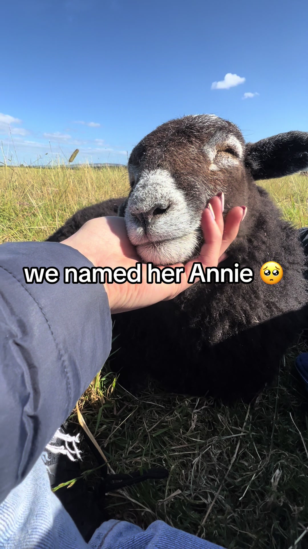 @Annie The Lamb