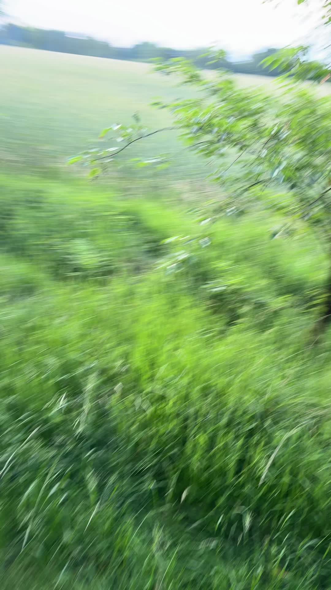 @๐๐๐ ๐๐๐ ๐