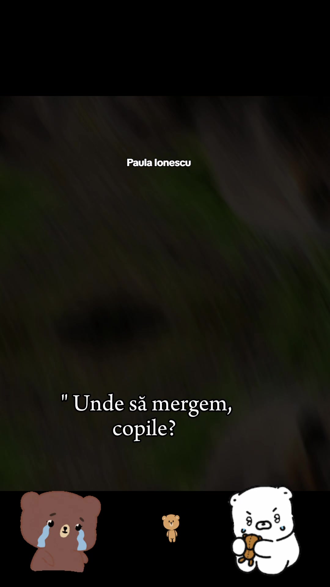 @Paula Ionescu