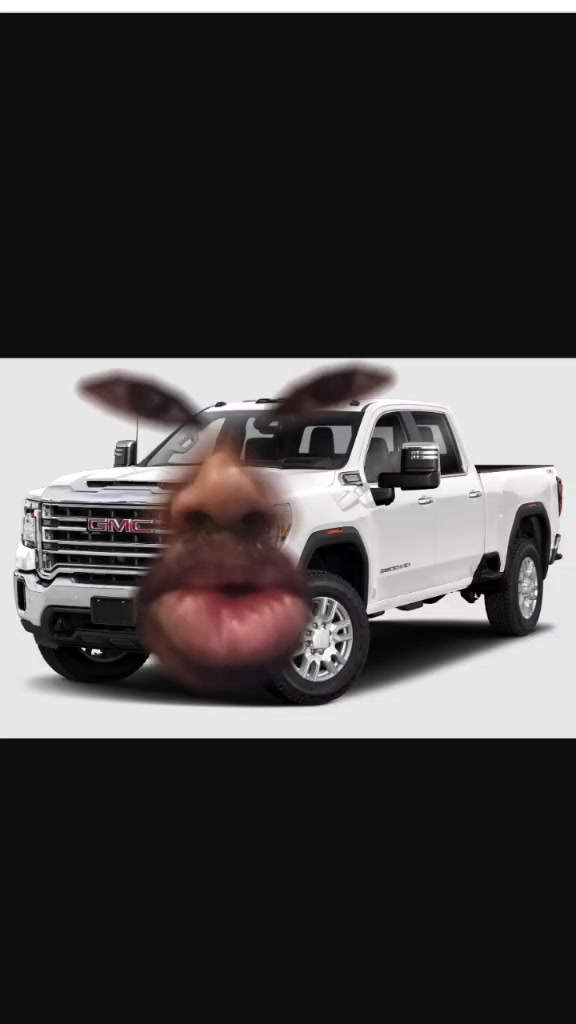 @mitch allen