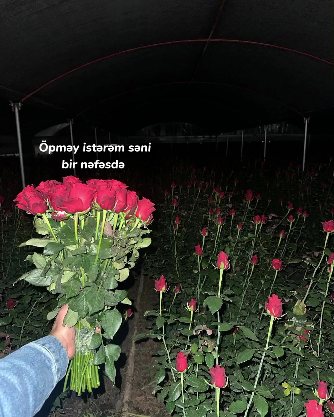 @Gulshen.A