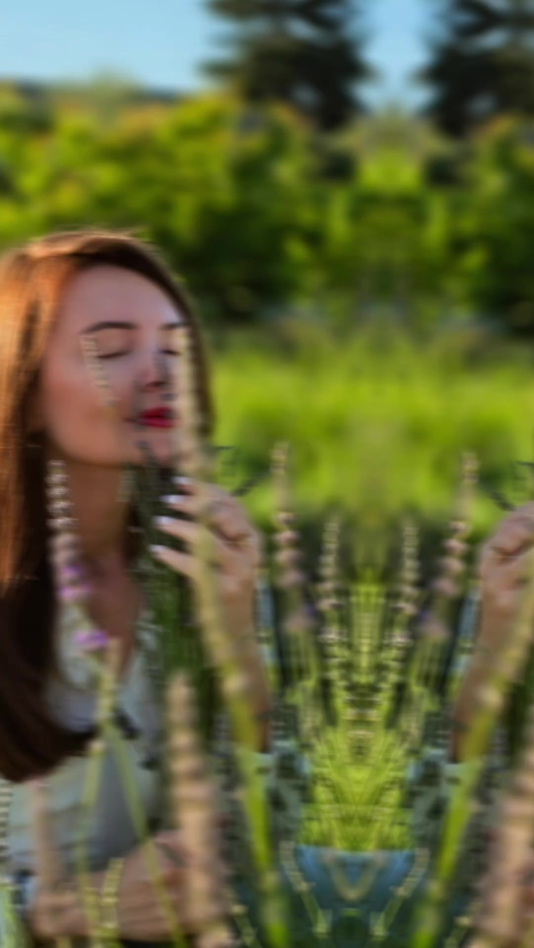 @Aria Lavender