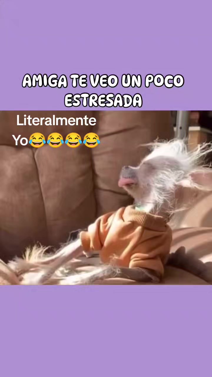 @🧿💎🦋susanadulceamor🦋💎🧿