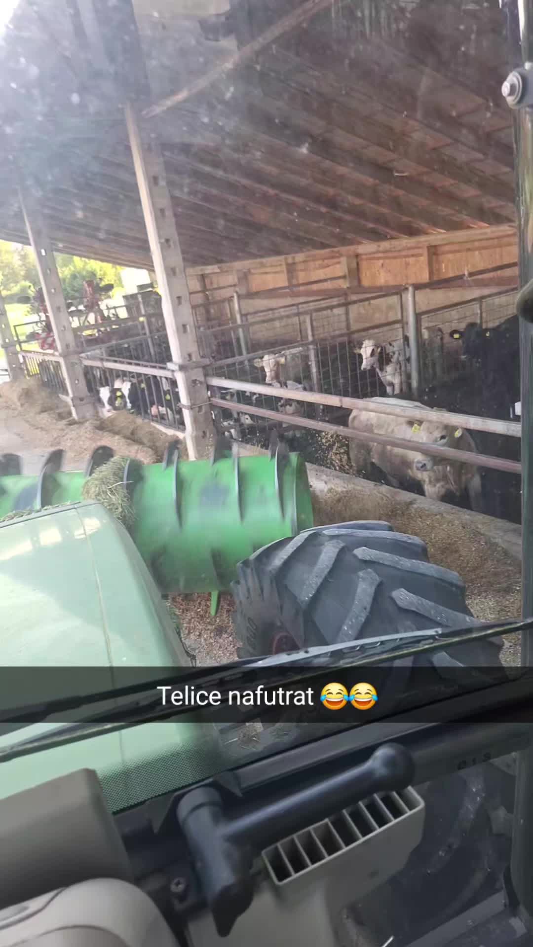 @Jure Mačk