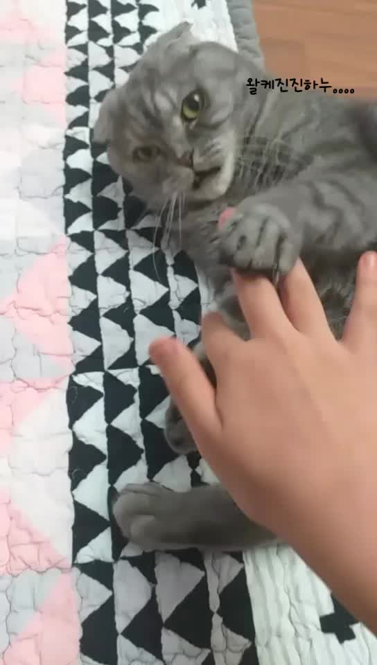 @「율딩」§