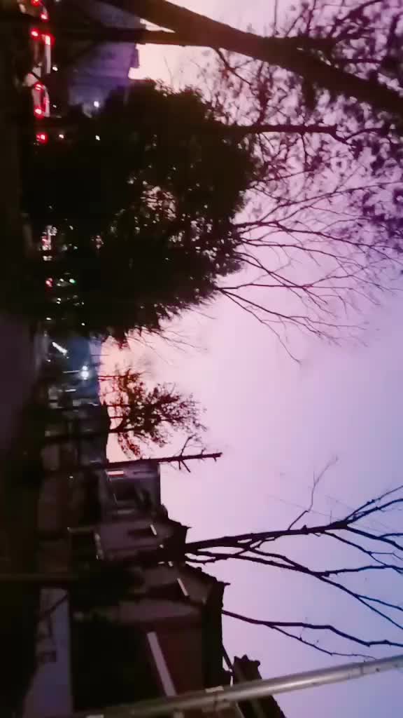 @🌸리치__윤조🌸