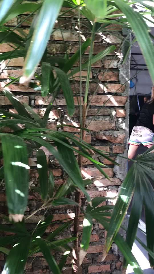 @Bali MMA