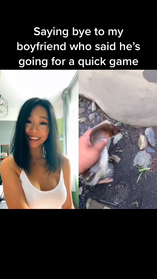 @pipidoudoupet