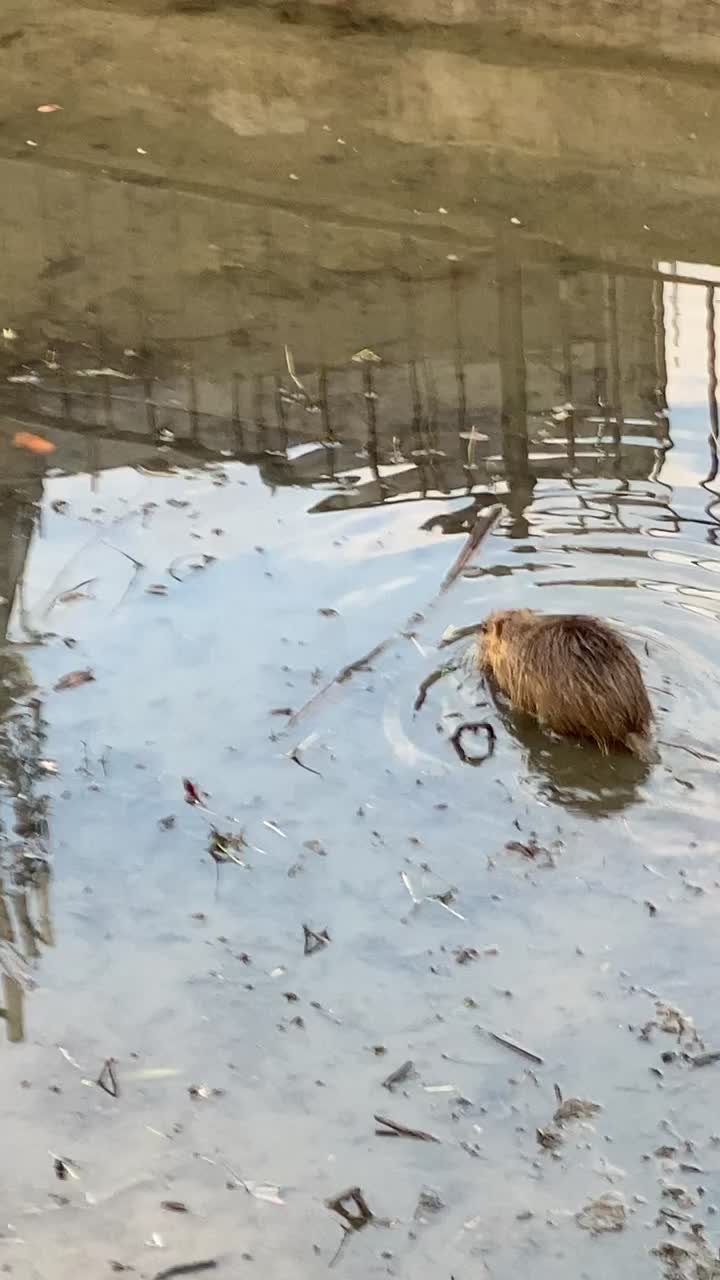@ゆかち〜🦔🥁