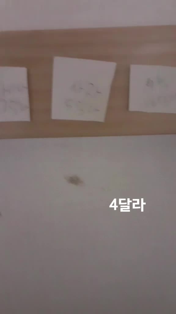 @오마이갓