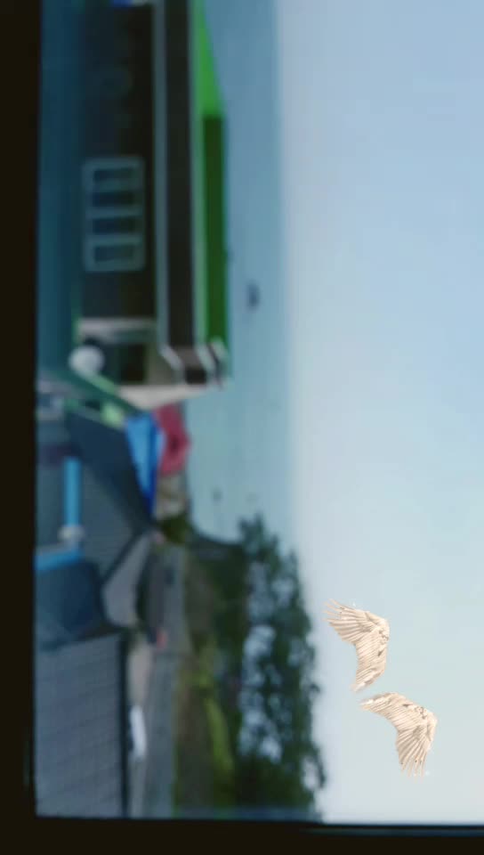 @:O<{눈설핑보}:-)&《¥눈징¥》