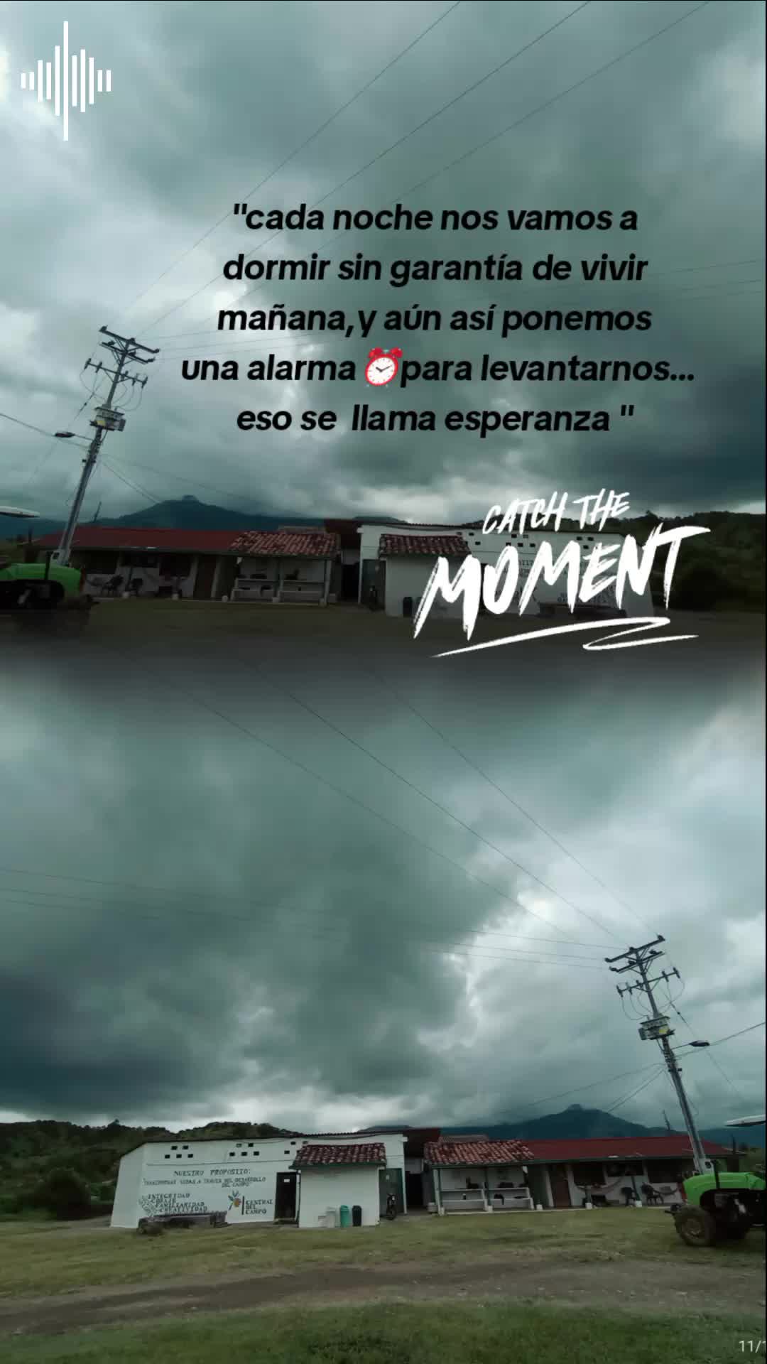 @@Guzmán