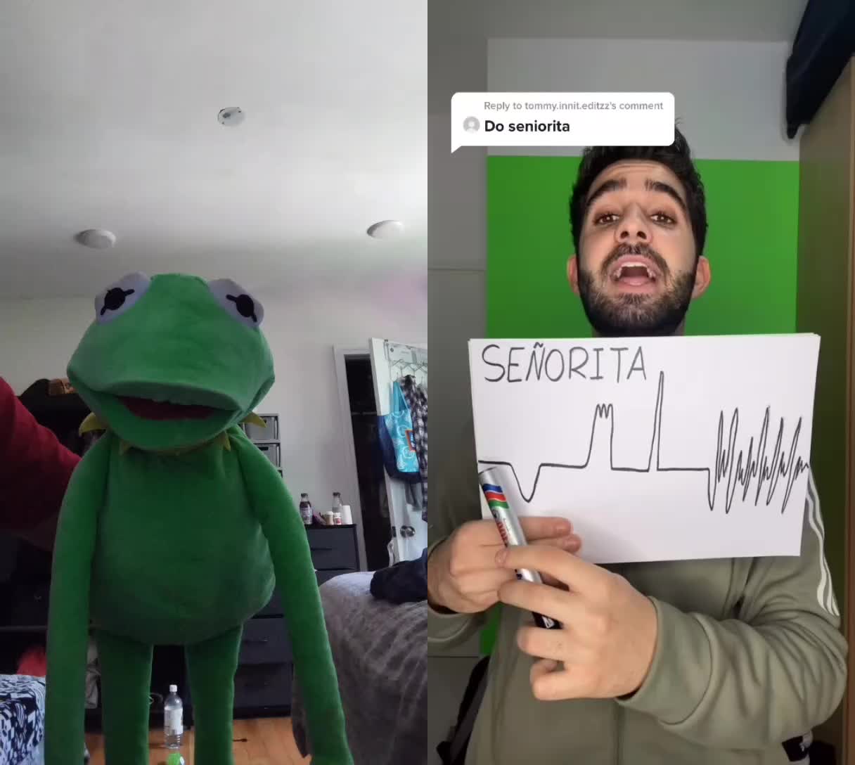 @Kermit The Frog Tiktok