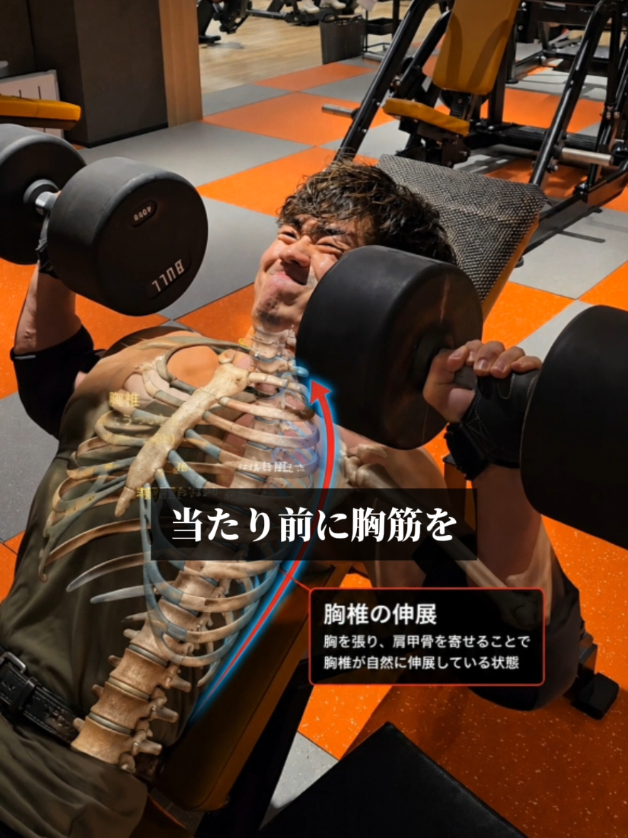 @妻筋/忖度ゼロで上級者へ導く