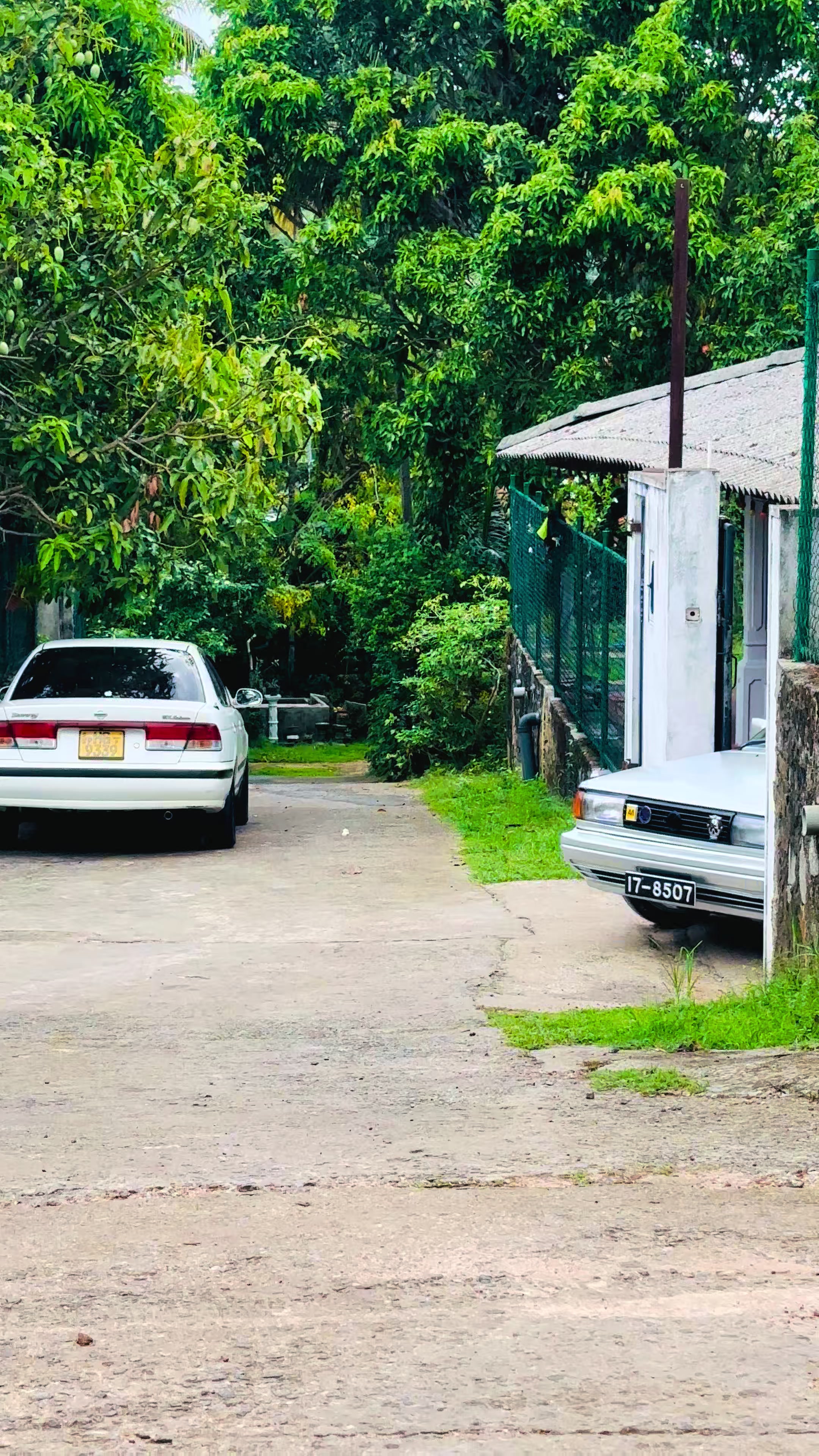 @Ashen | අශේන් | அஷேன் 🇱🇰