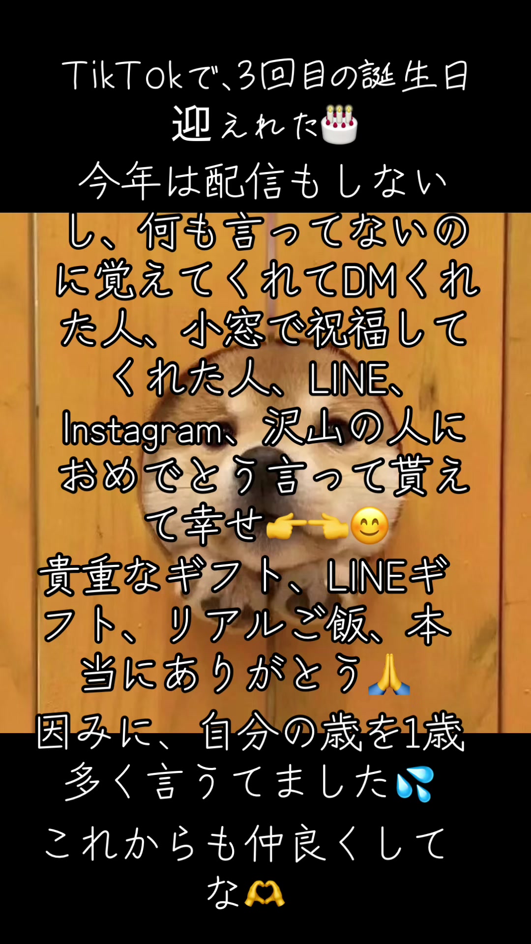 @団長だけどなに〜?👉👈🐕 ͗ ͗ ͗