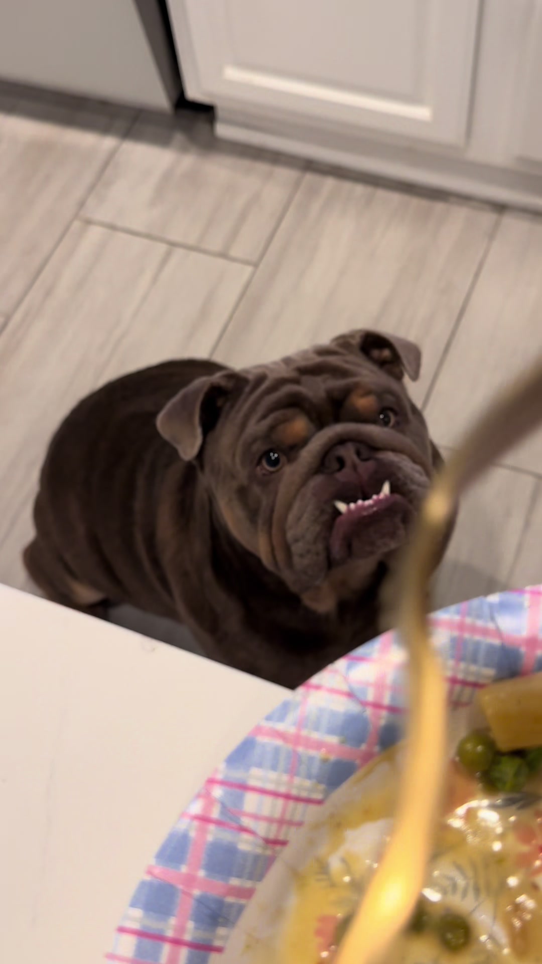 @RawlsTheBulldog