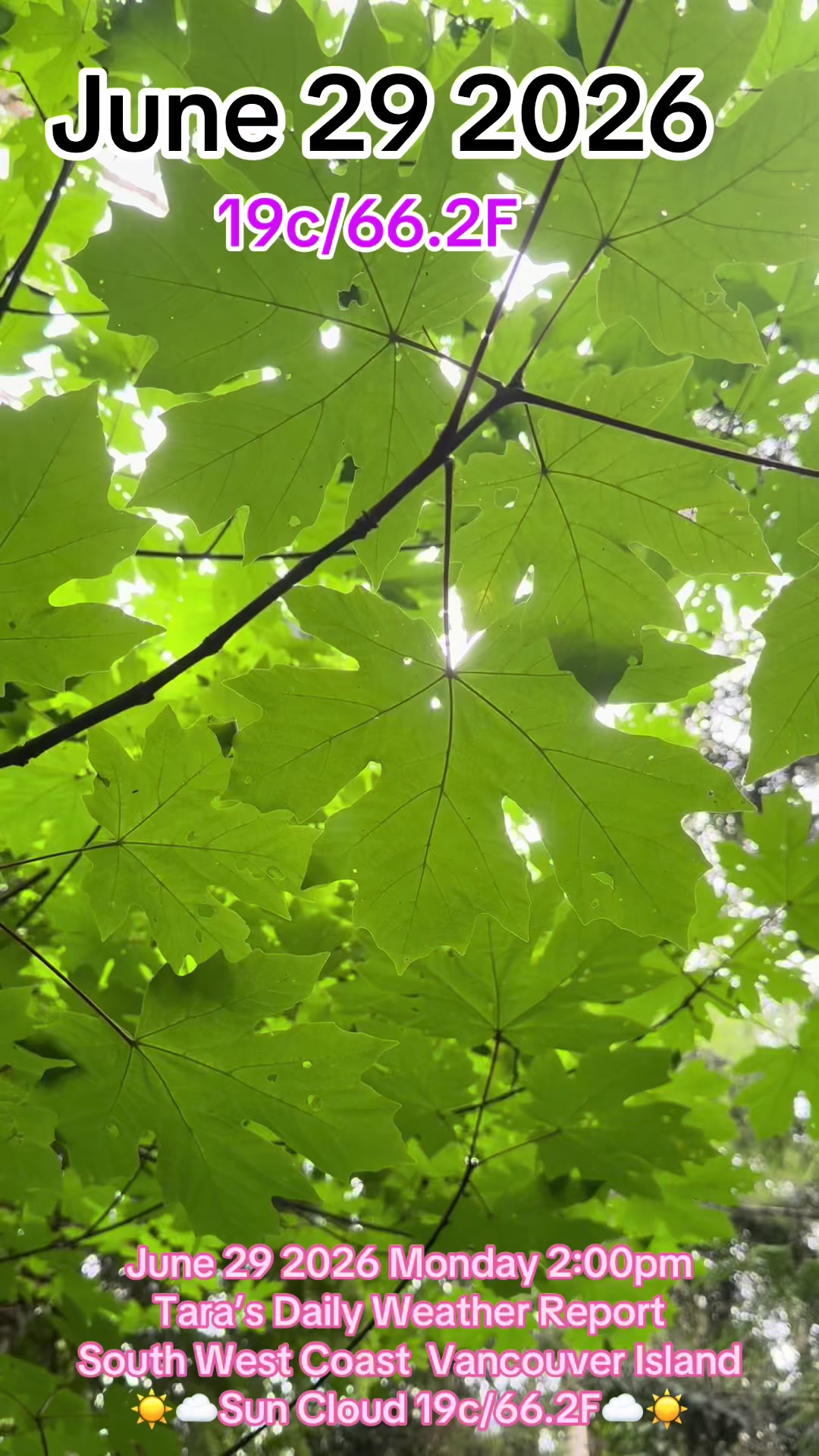 @Vancouver Island BC Canada