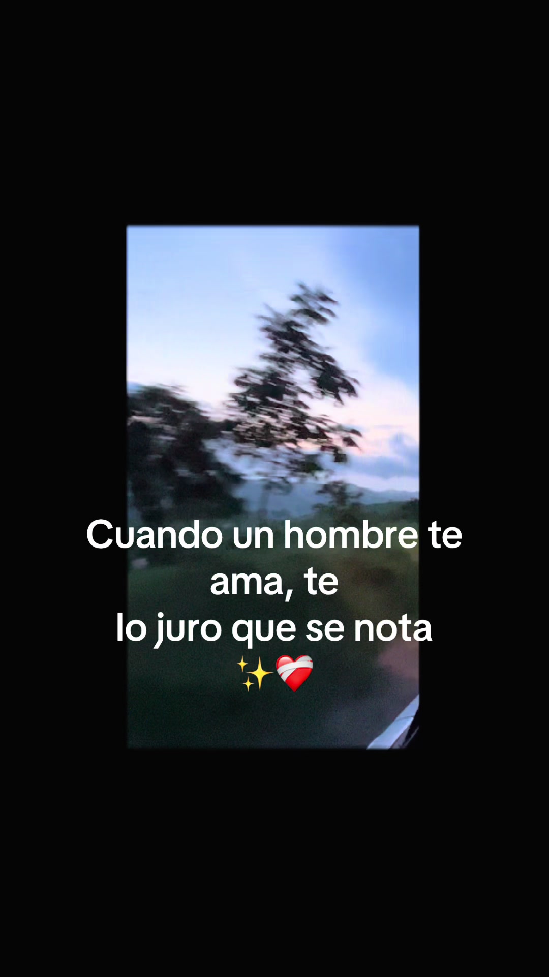 @🌻🌻Jael🌻🌻