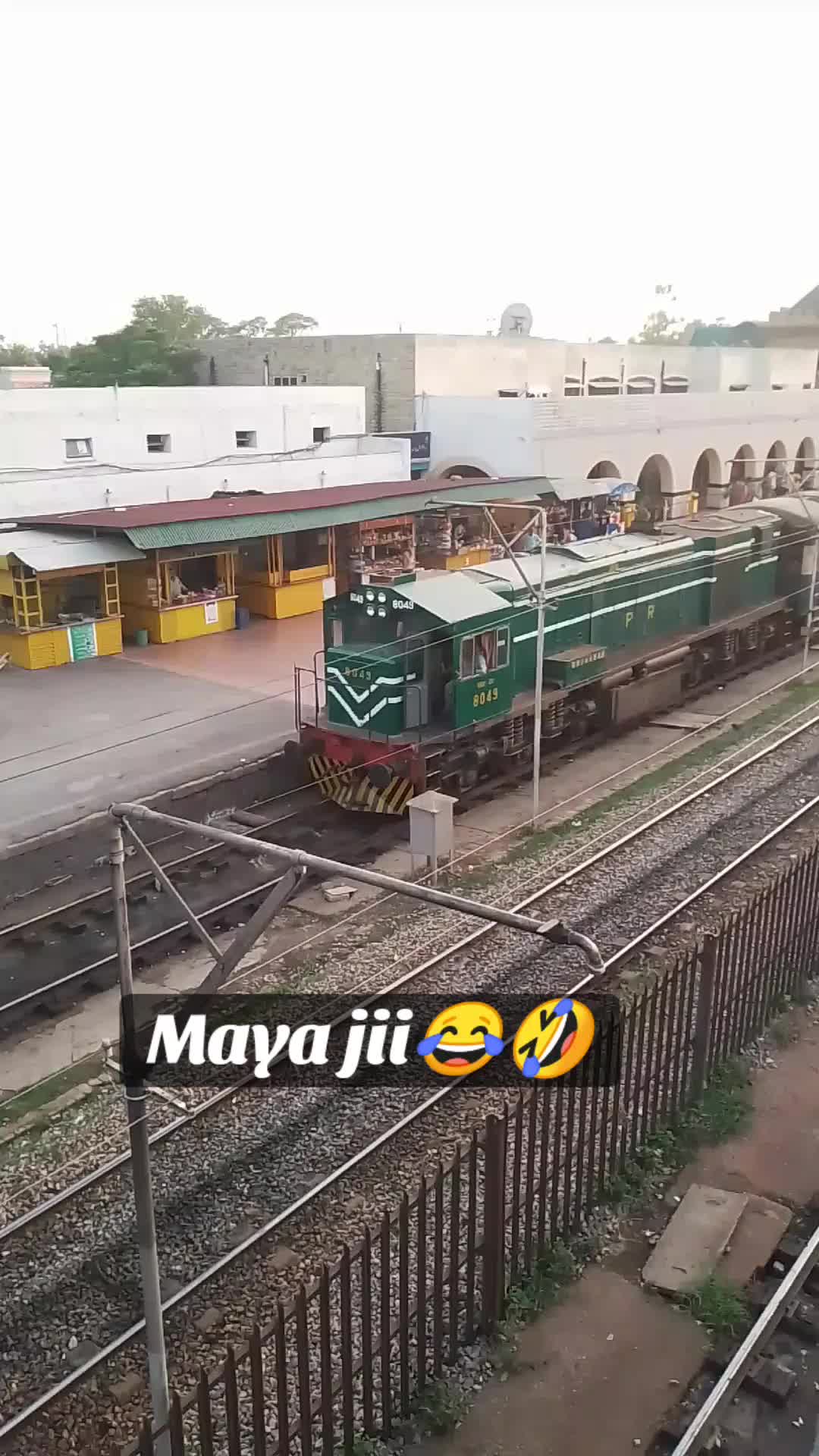 @🌴کشمیری شہزادہ😎
