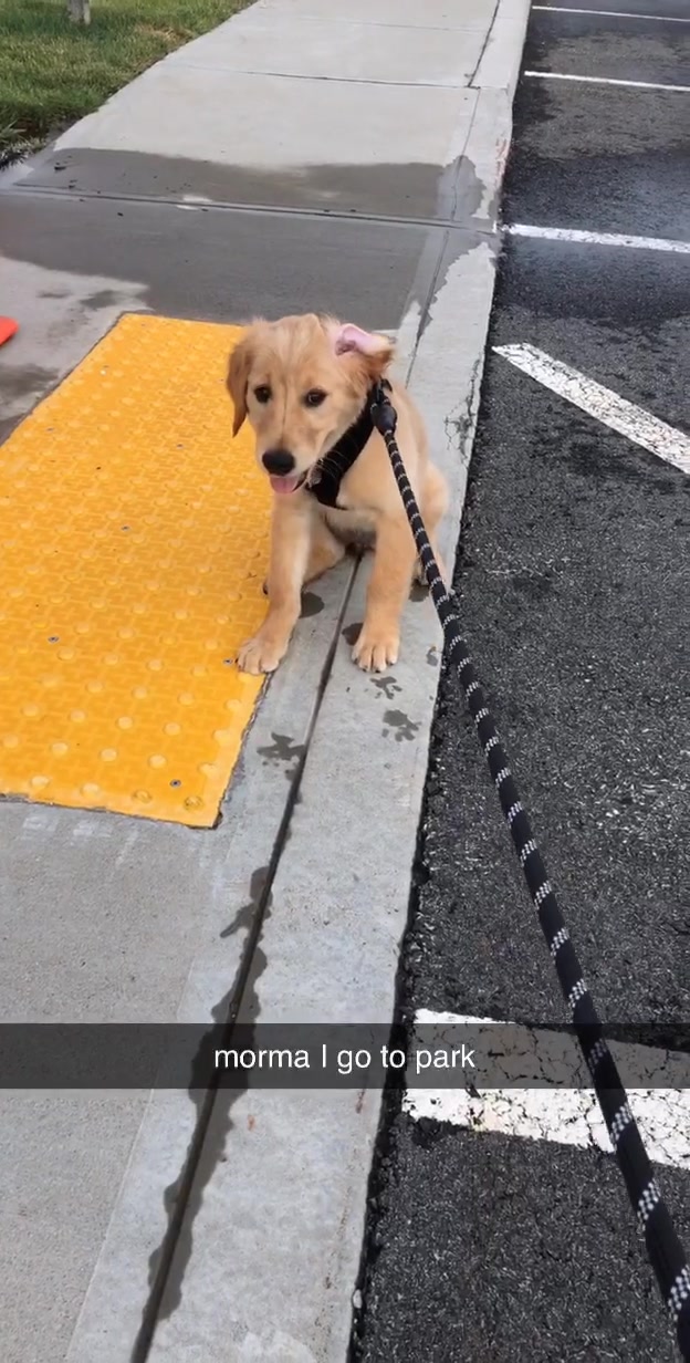 @riley_the_nugget