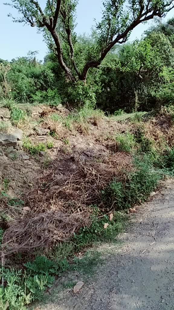 @Sanjeev monika jaswa