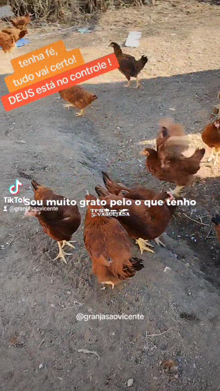 @Jonas Rodrigues