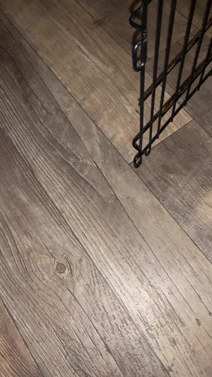 @Megan Kirschenman