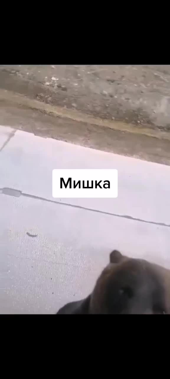 @🥰🥰🥰🥰