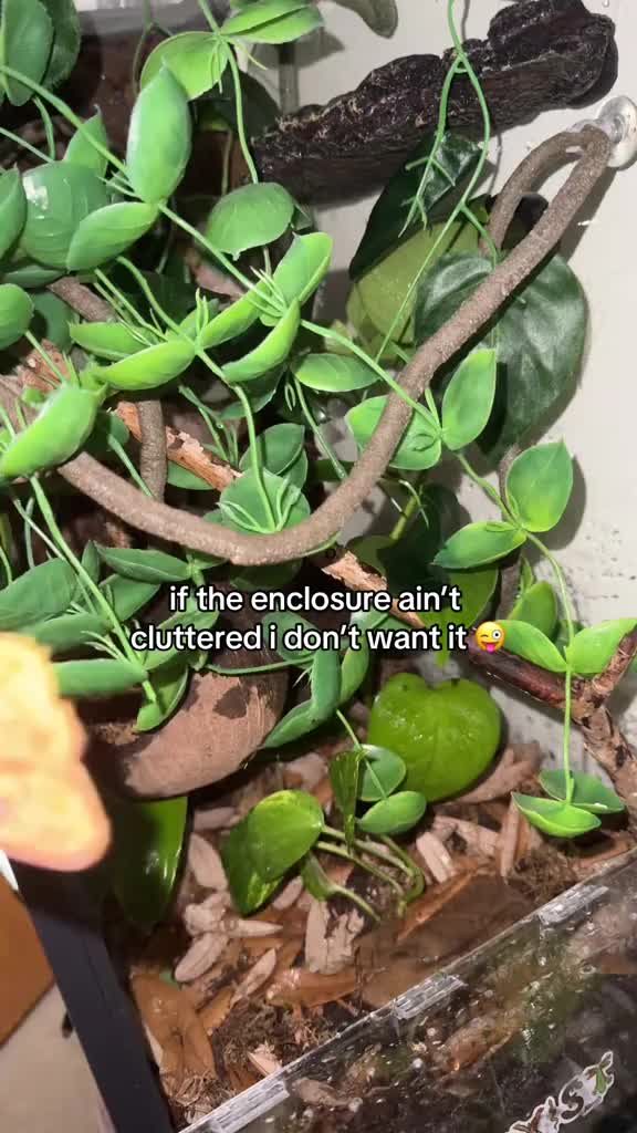 @faith𓆈🌱