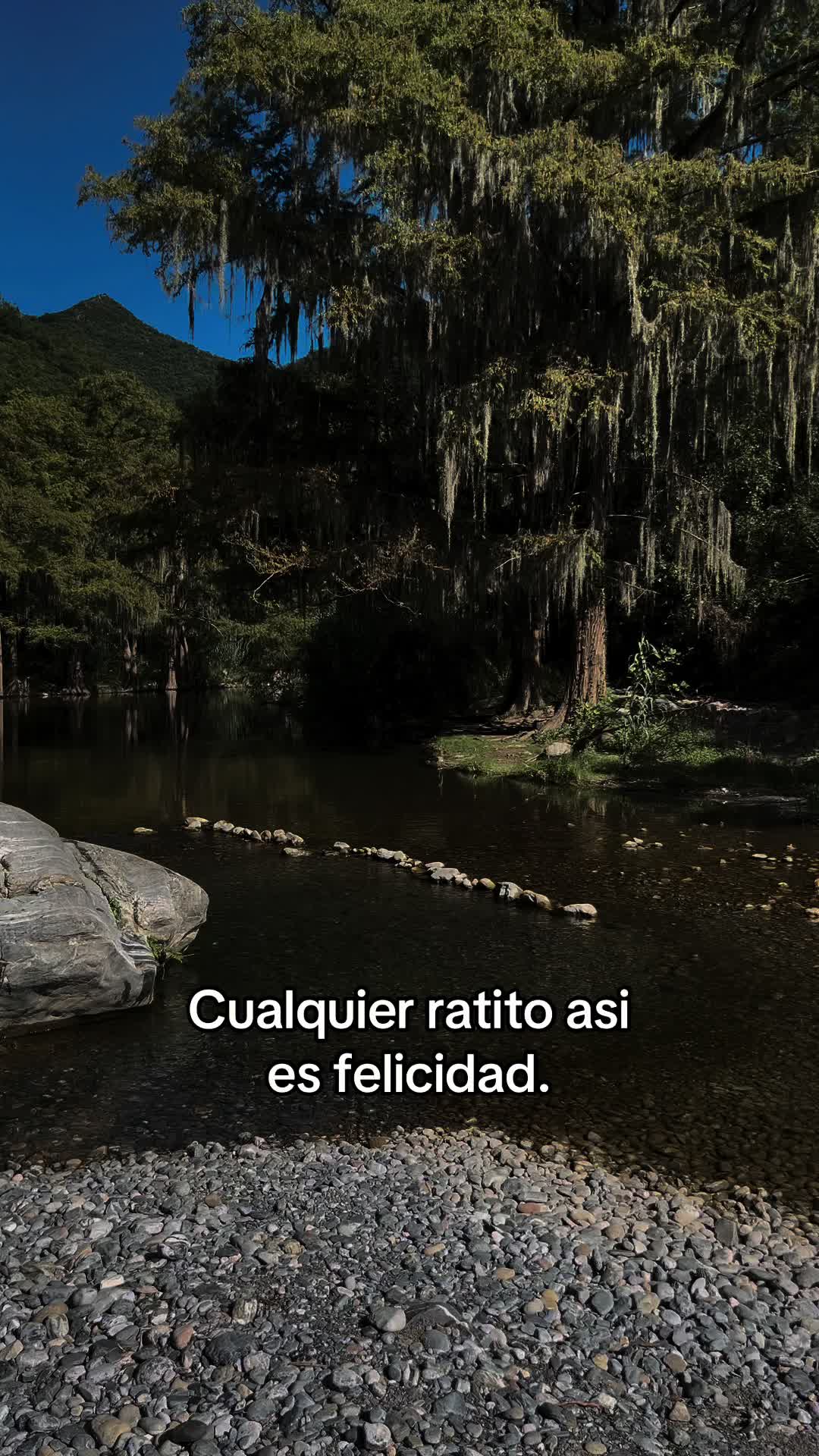 @Jesus Luis HP