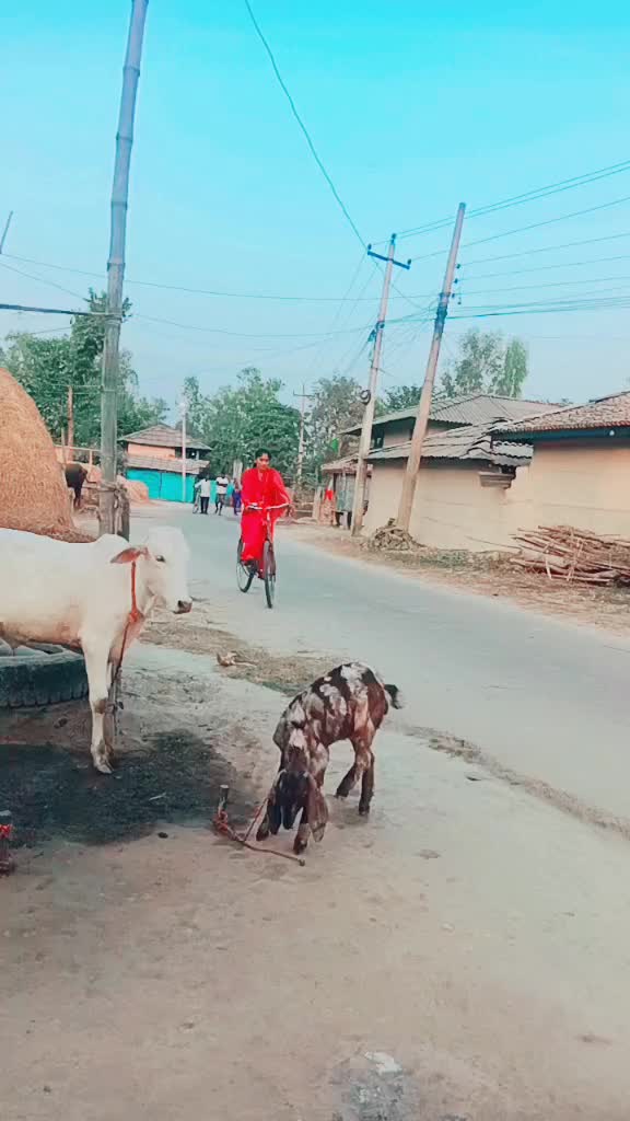 @Anita Mahato