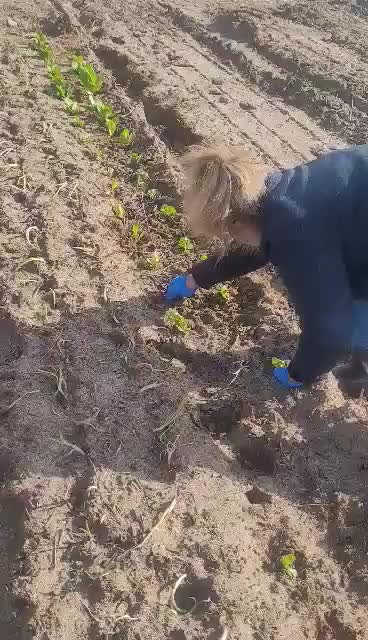 @guzmanproduce