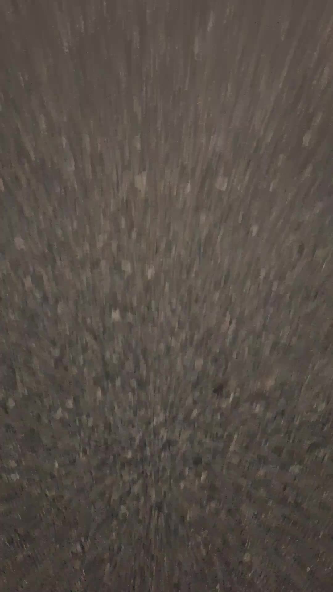 @GatosR21