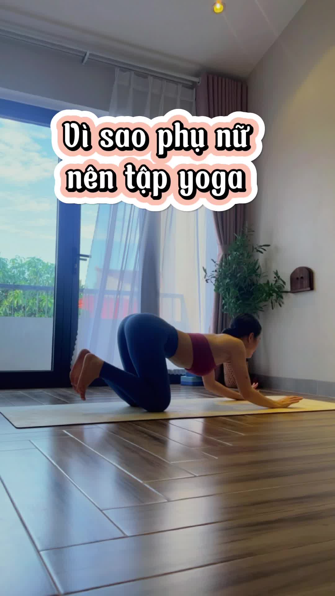 @Đầy Võ