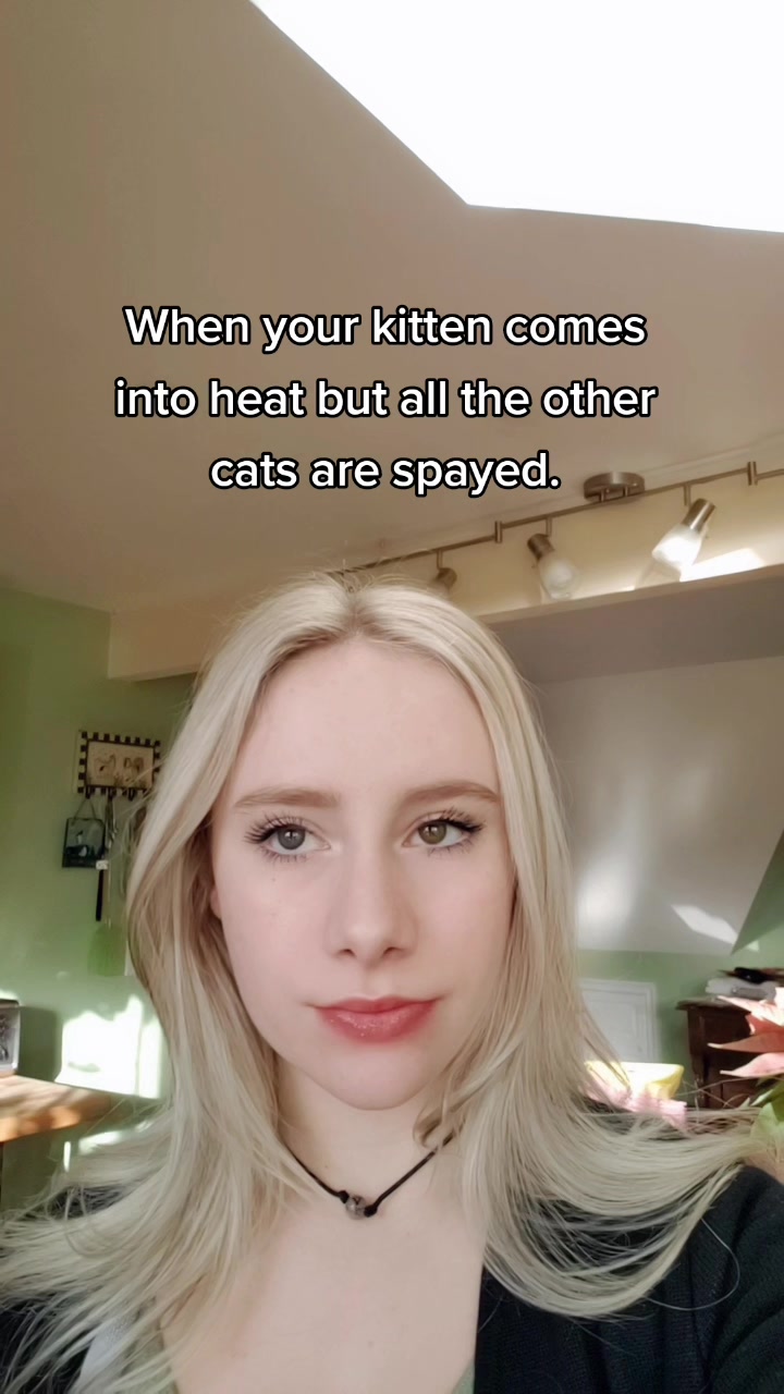 @Pony Squisher