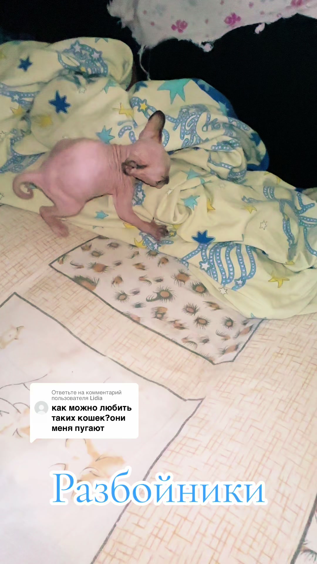 @Vitaliy-«полный жизни»