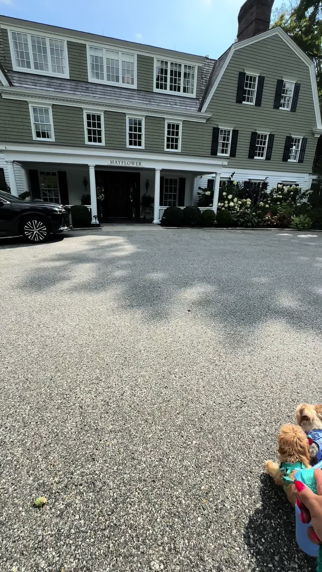 @B ✨