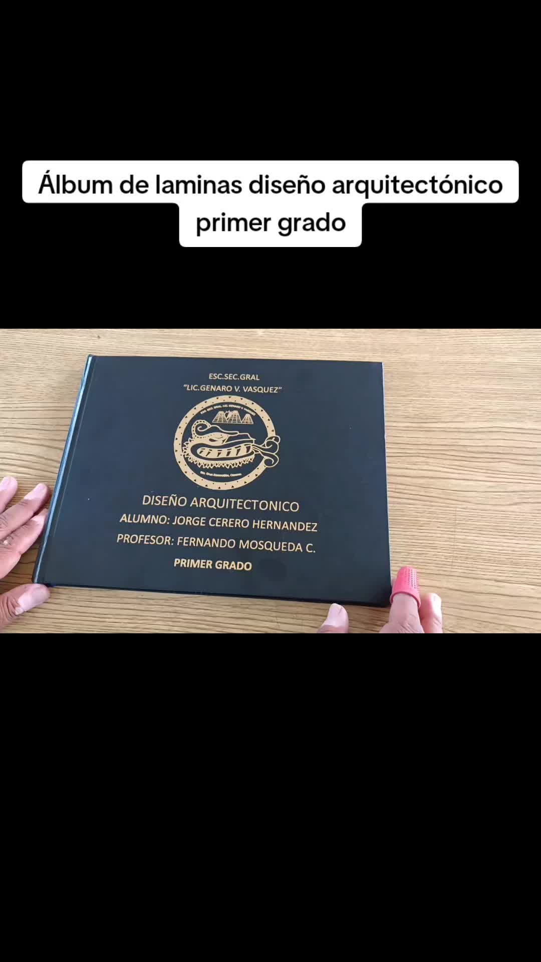 @fernandomosqueda271