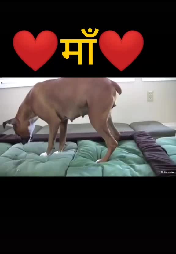 @Love Preet Kaur